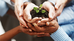 cc攻击免费网页版